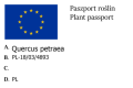 Dąb Szypułkowy INSECATA.png