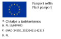 Chitalpa taszkiencka