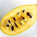 INDIAŃSKI BANAN