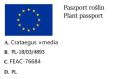 Głóg pośredni GIREOUDII