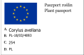 Orzech laskowy czerwony LAMBERTA