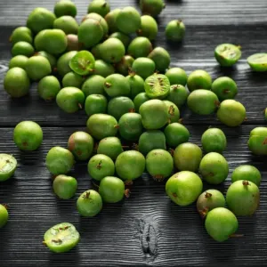 Mini Kiwi ROGÓW