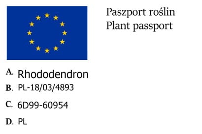 różanecznik.jpg